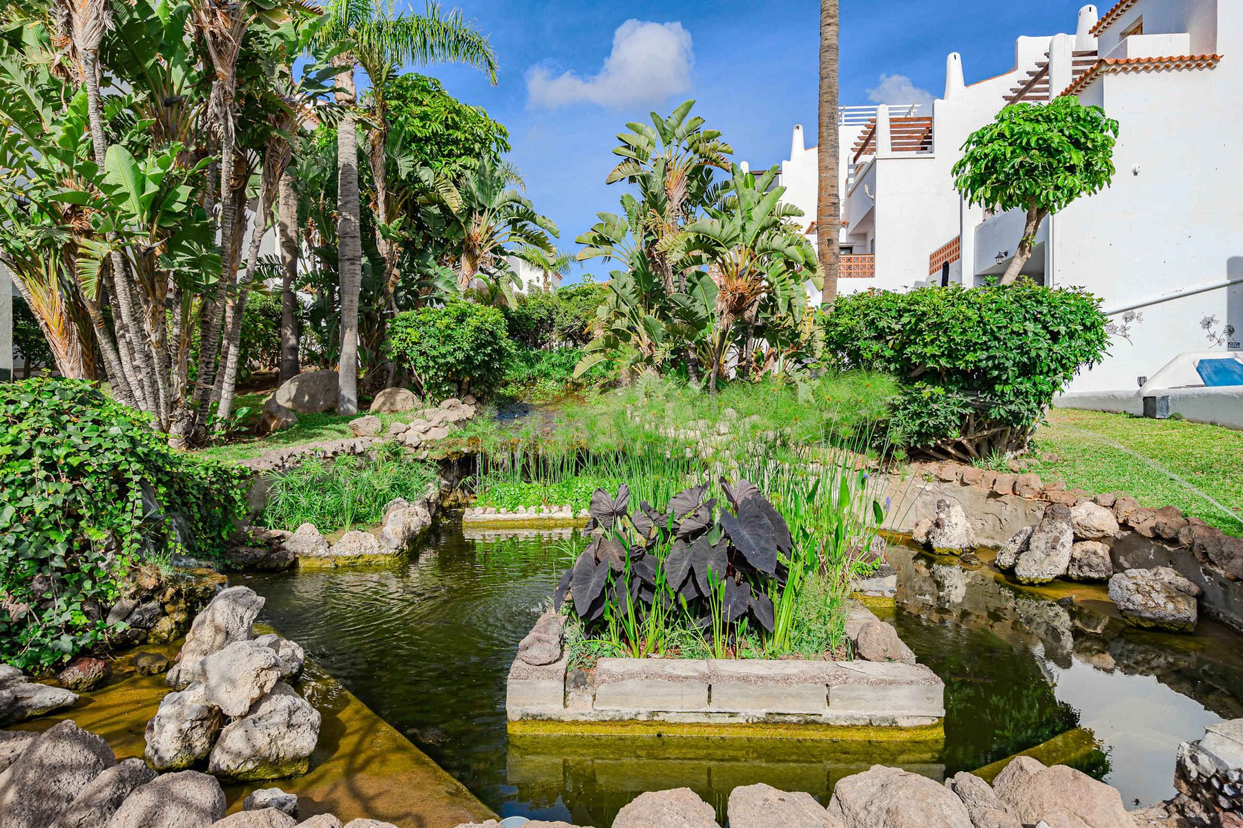 Resort Garden Relax Area