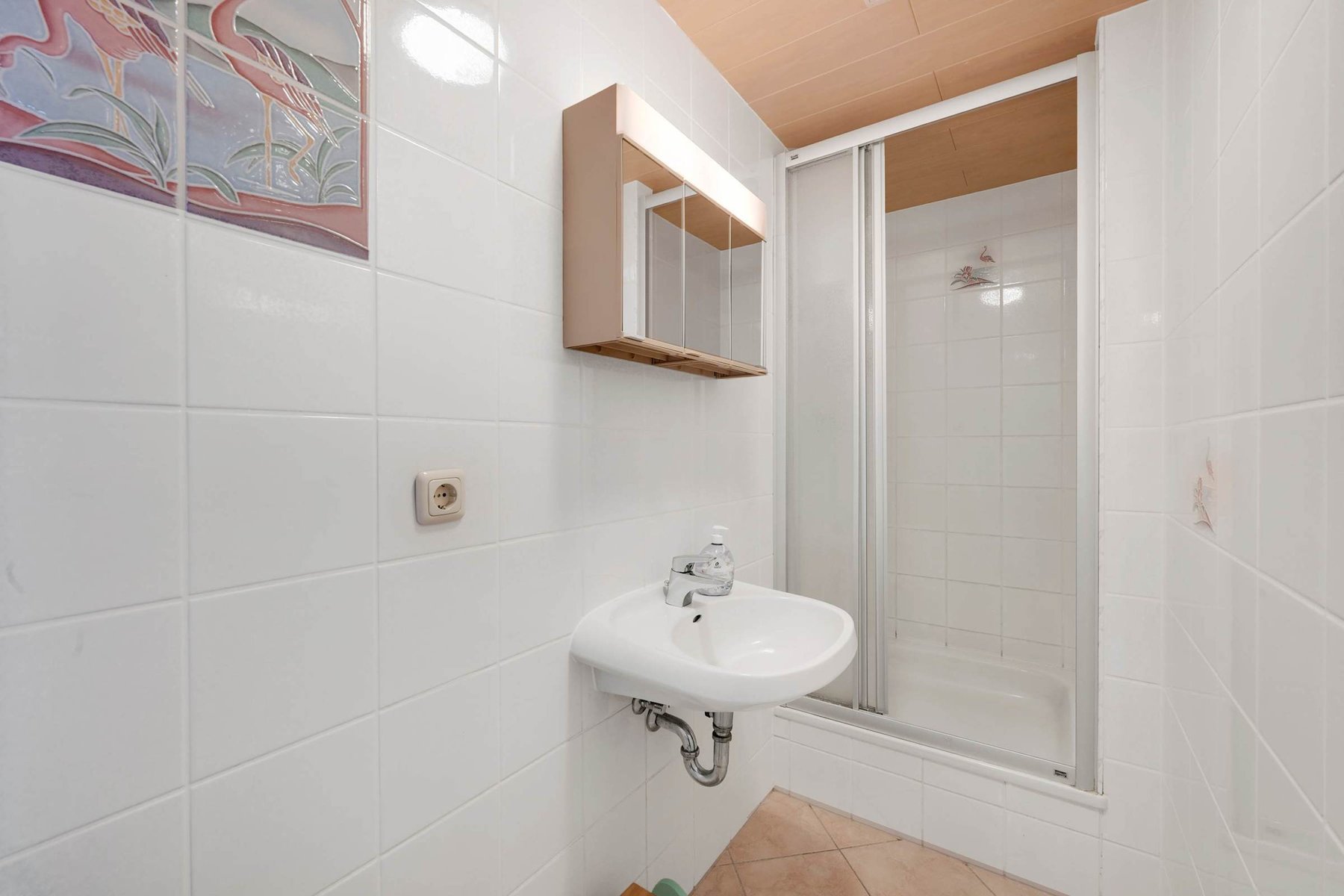 Compact Ensuite with Shower and Sink for Added Privacy.