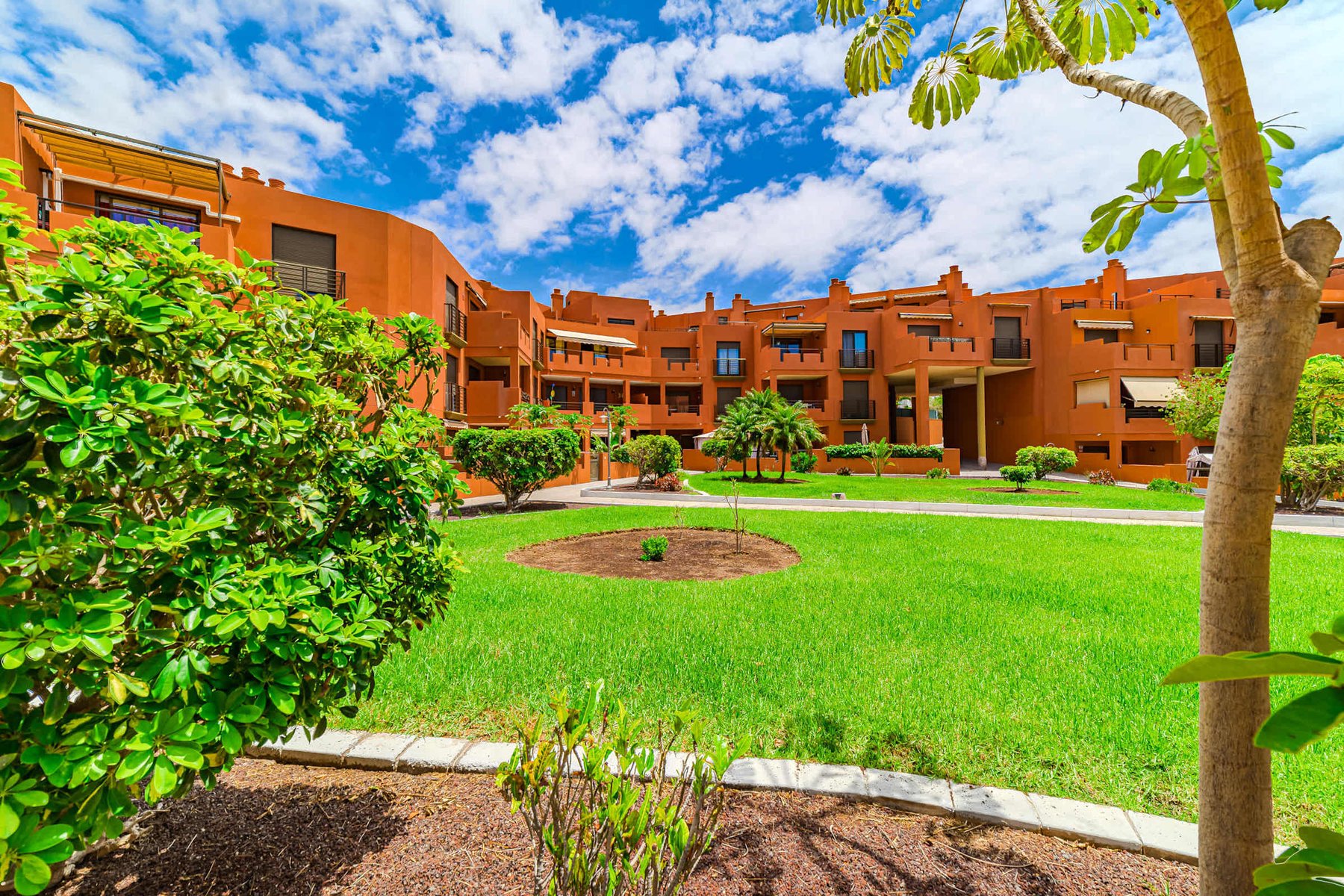 Tropical Garden Bliss – Peaceful Green Spaces Just Outside Your Doorstep