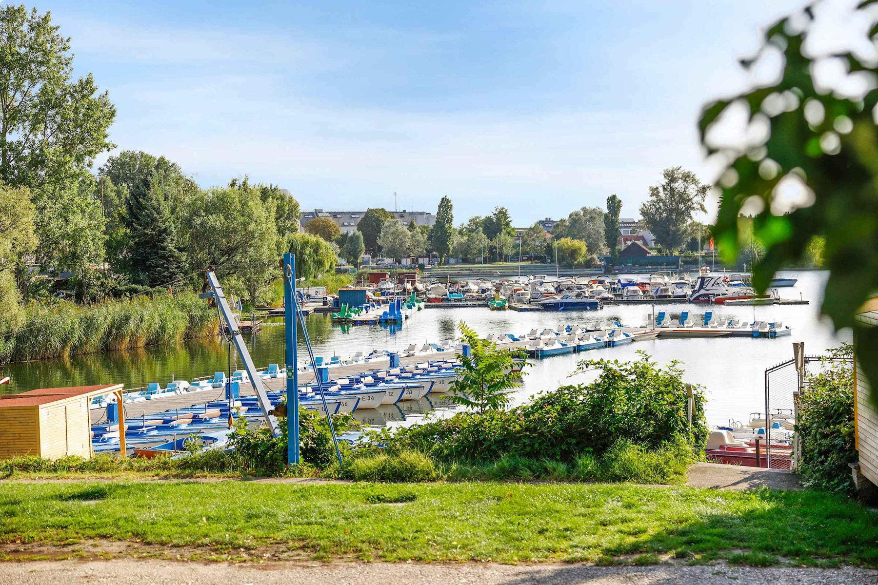 Quaint Riverside Marina — Peaceful Views of Docked Boats Framed by Nature and City Charm