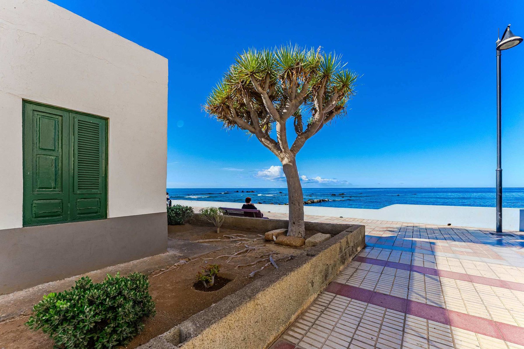 Palmera Sky Terrace Suite
