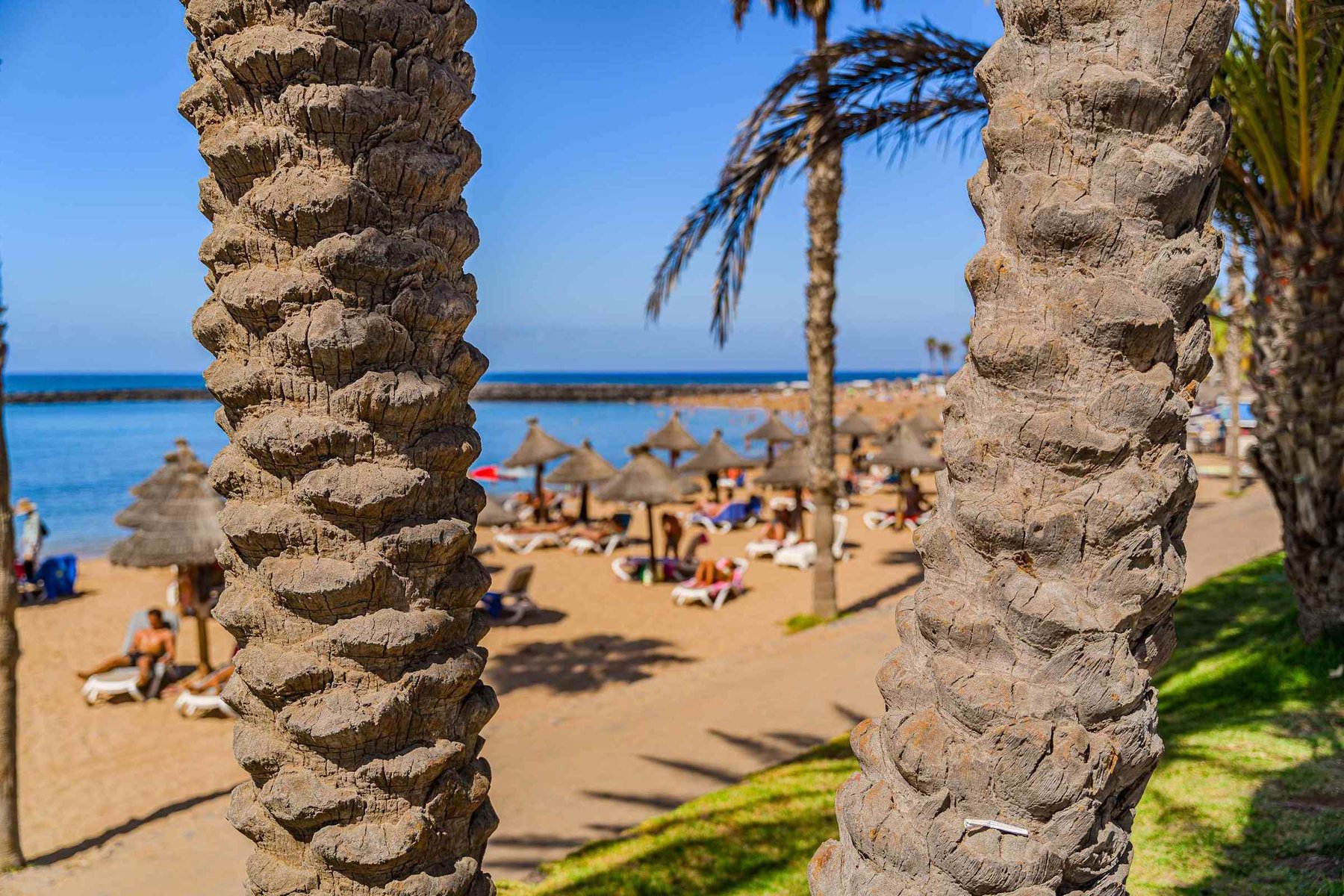 Beach Loungers & Parasols