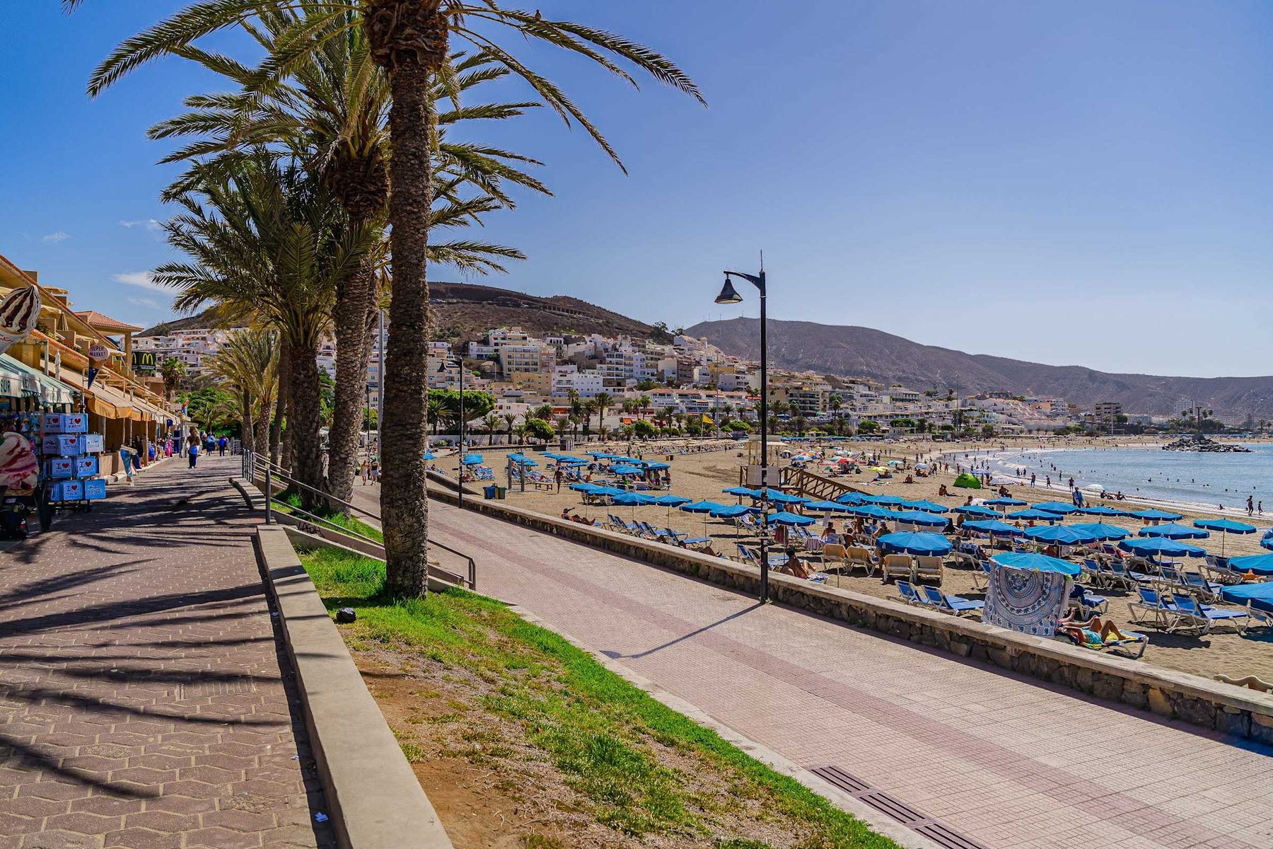 Palm-Lined Seafront Promenade