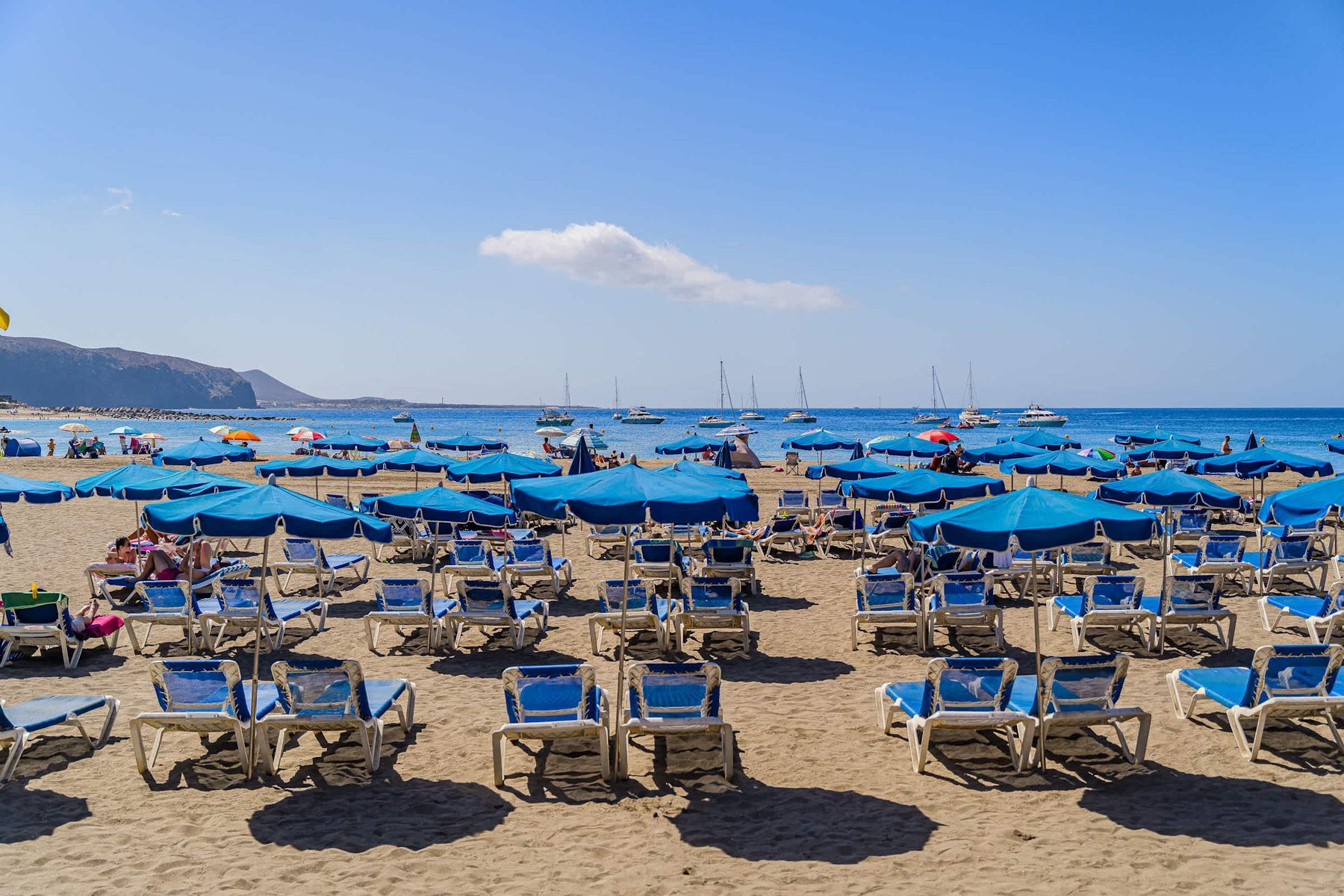 Beach Loungers & Parasols